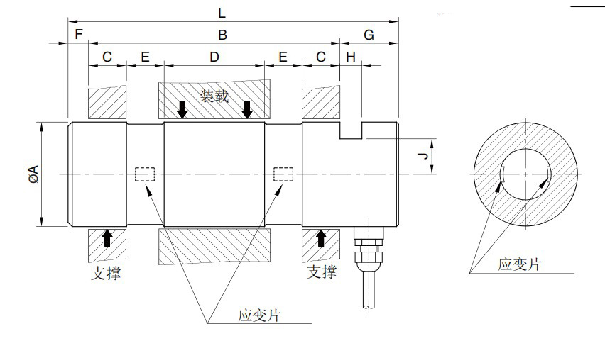 CDKM尺寸圖.jpg